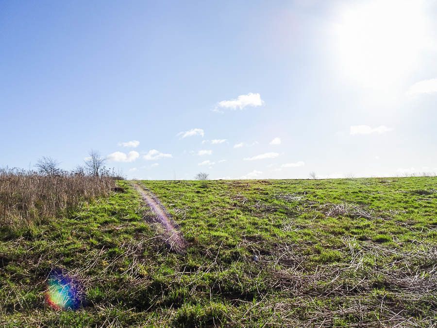Działka budowlana Dobra, ul. Graniczna. Zdjęcie 4