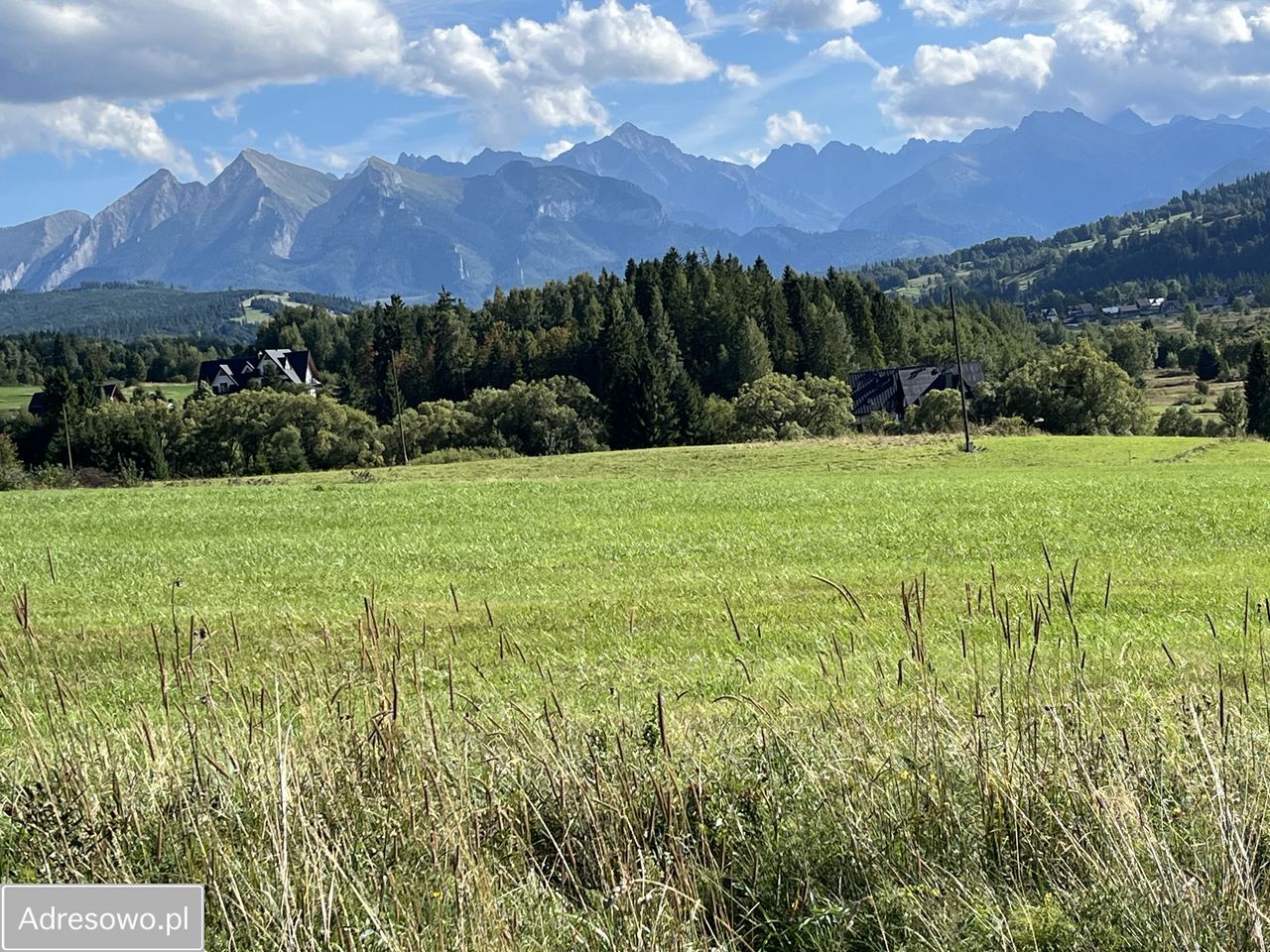 Działka inwestycyjna Czarna Góra. Zdjęcie 4