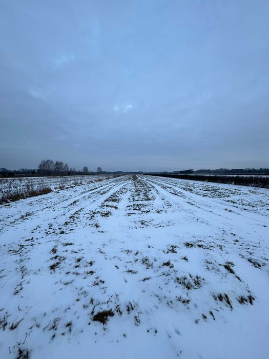 Działka rolno-budowlana Stachlew. Zdjęcie 4