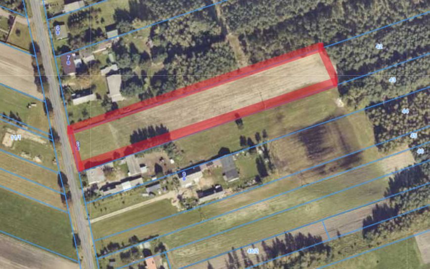 Działka Turek. Zdjęcie 1