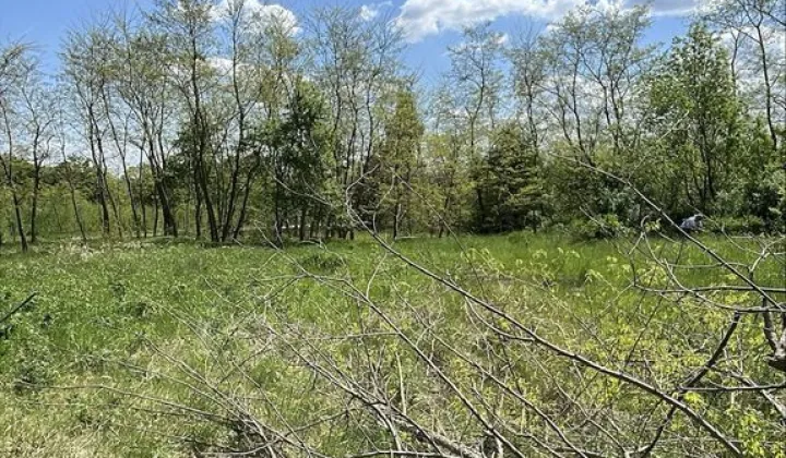 Działka budowlana Chwałkowice