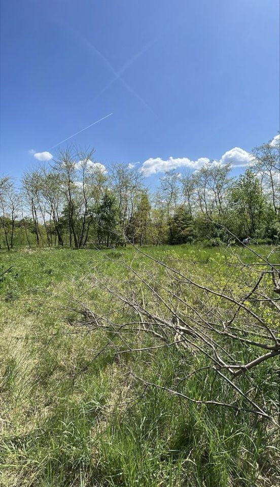 Działka budowlana Chwałkowice. Zdjęcie 1