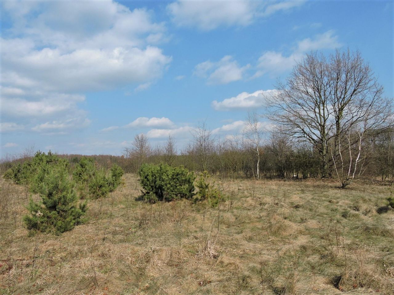 Działka rolno-budowlana Kępiaste. Zdjęcie 7