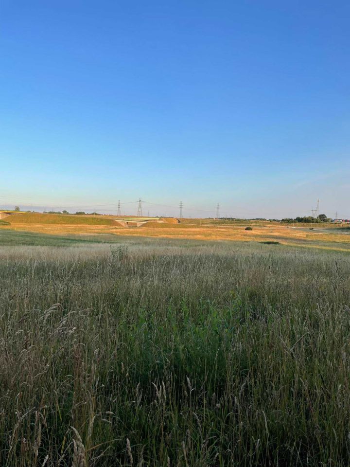 Działka rolna Stare Bielice. Zdjęcie 4