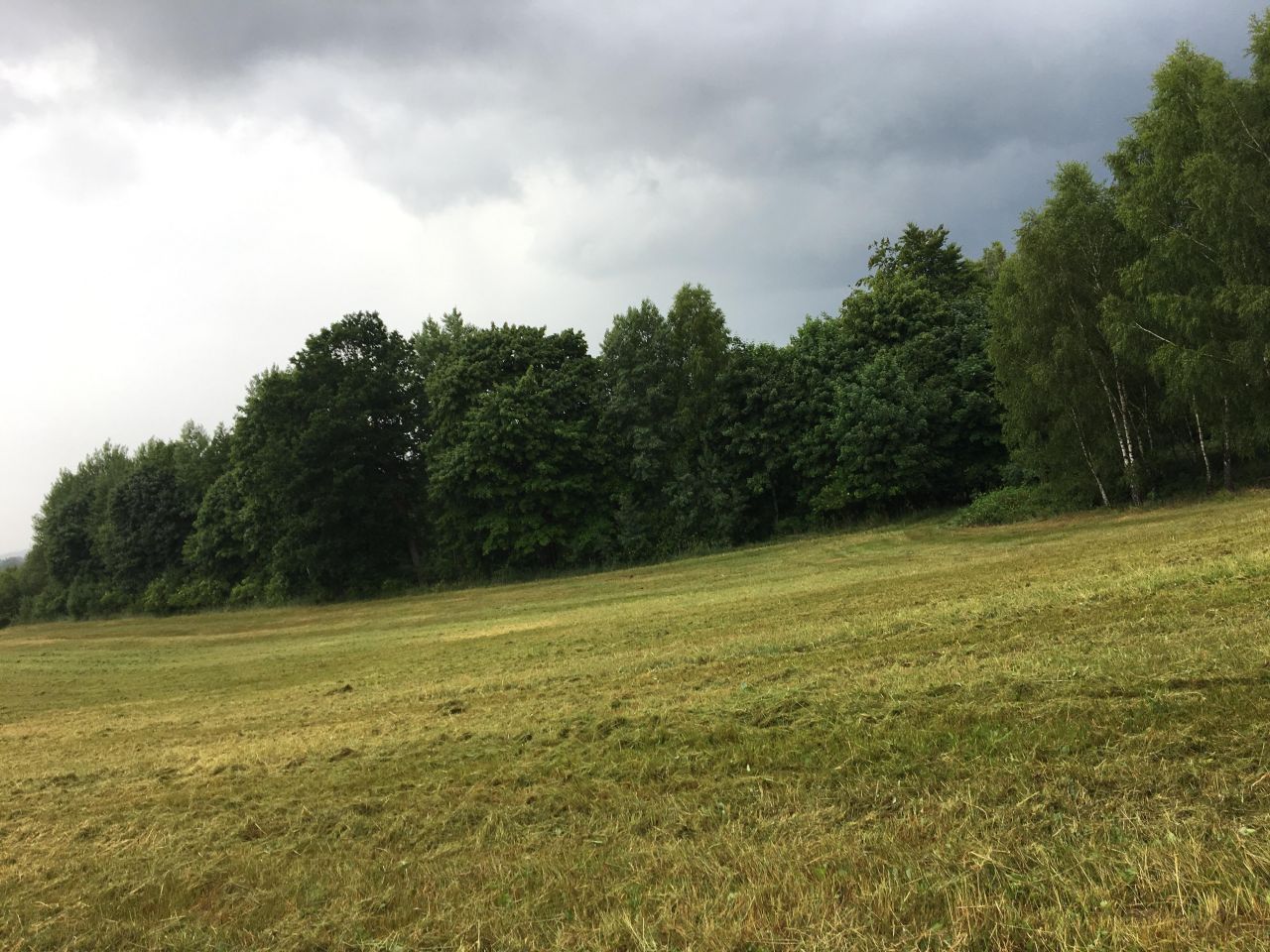 Działka rolna Rydzewo. Zdjęcie 7