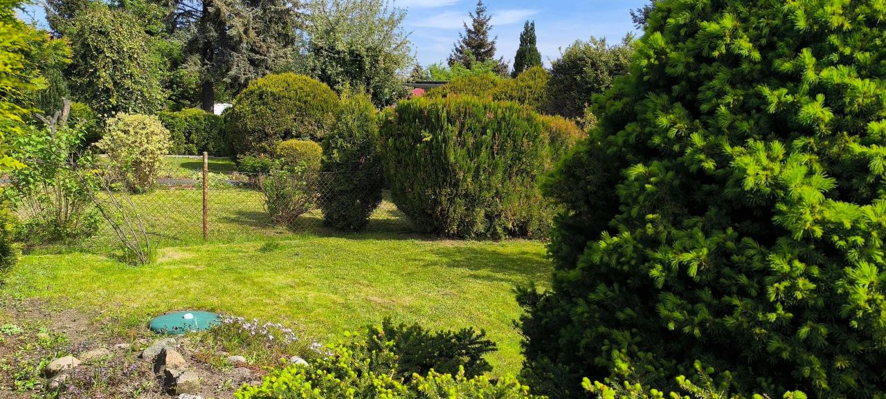 Działka rod Poznań Ławica. Zdjęcie 2