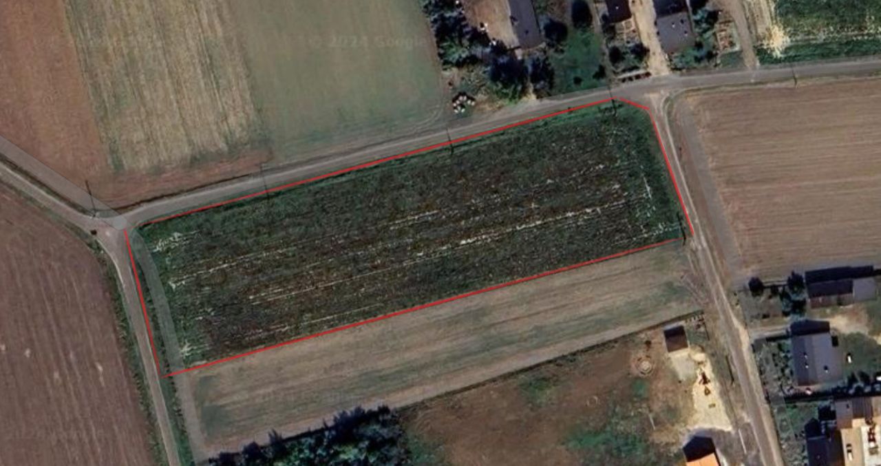 Działka budowlana Jacków. Zdjęcie 4