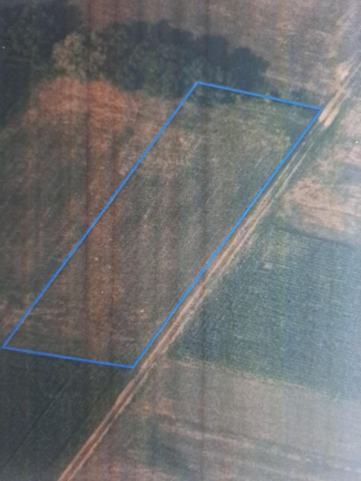 Działka inwestycyjna Depułtycze Królewskie-Kolonia. Zdjęcie 6