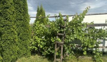 Działka rod Powodowo