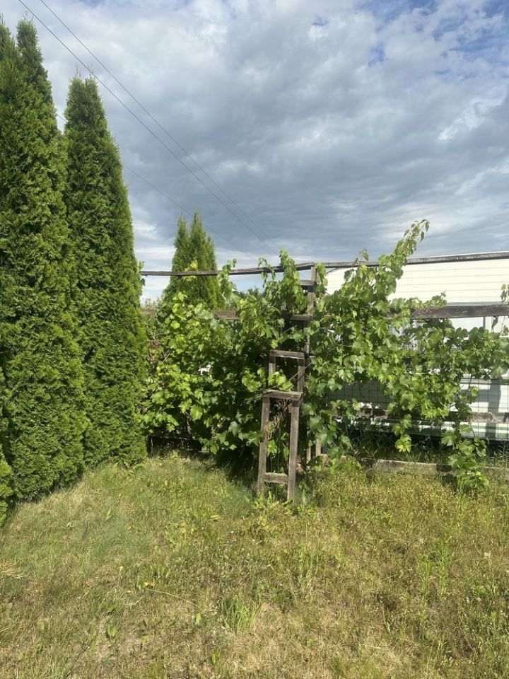 Działka rod Powodowo. Zdjęcie 2