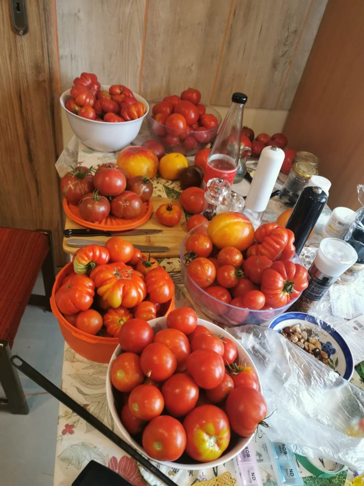 dom wolnostojący, 3 pokoje Drążgów. Zdjęcie 6