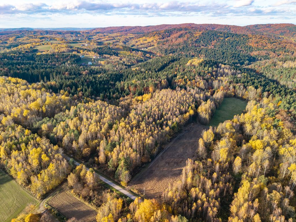 Działka budowlana Glinik Górny. Zdjęcie 14