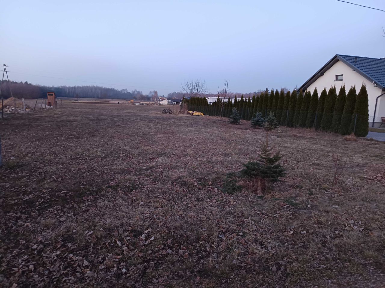 Działka rolno-budowlana Osiny. Zdjęcie 1