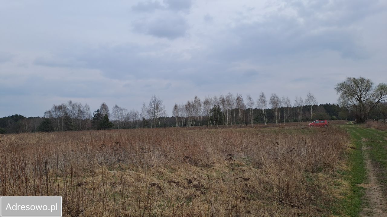 Działka rolno-budowlana Kąck, ul. Myśliwska. Zdjęcie 3