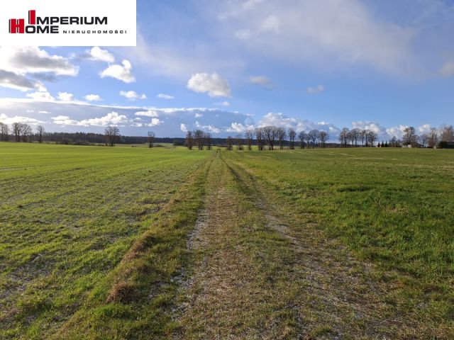 Działka rolna Janiewice. Zdjęcie 1