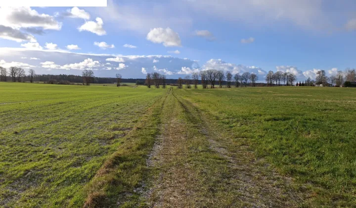 Działka rolna Janiewice