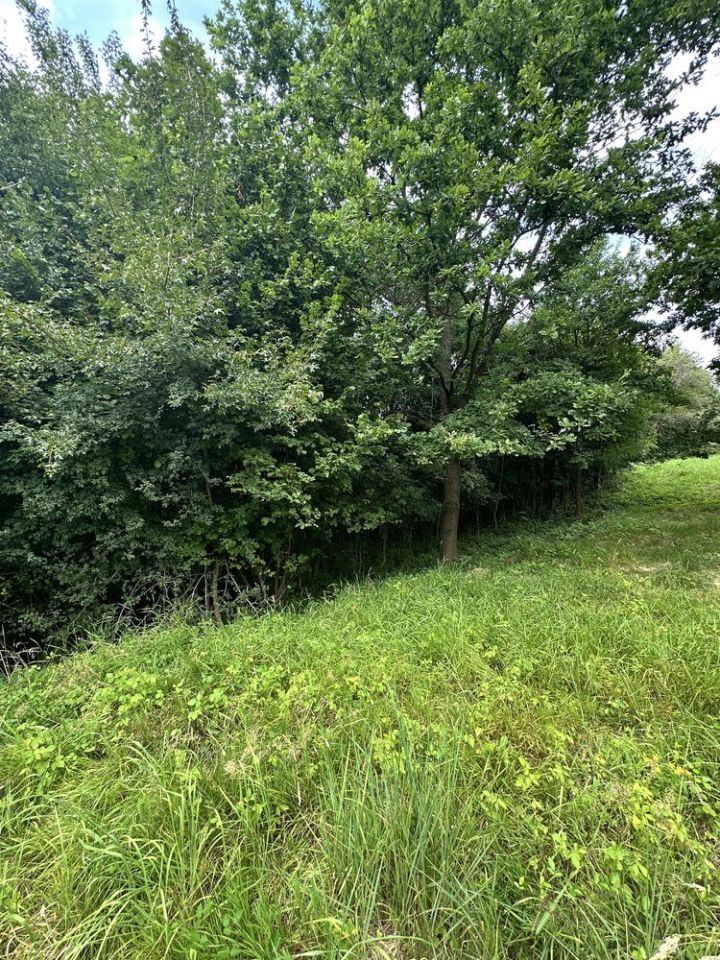 Działka budowlana Przedmieście Czudeckie. Zdjęcie 7