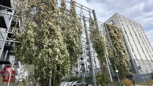 Mieszkanie 3-pokojowe Kraków Nowa Huta. Zdjęcie 3