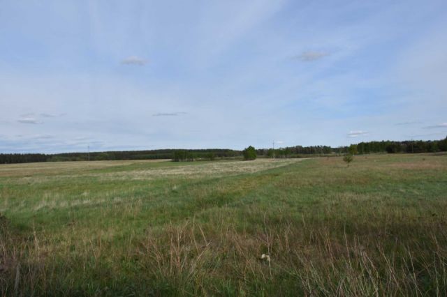 Działka rolno-budowlana Mosina. Zdjęcie 1