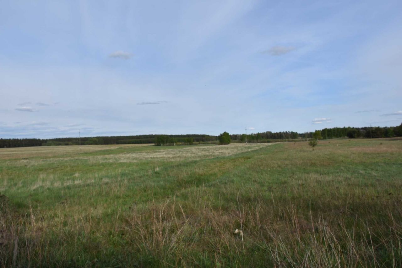 Działka rolno-budowlana Mosina