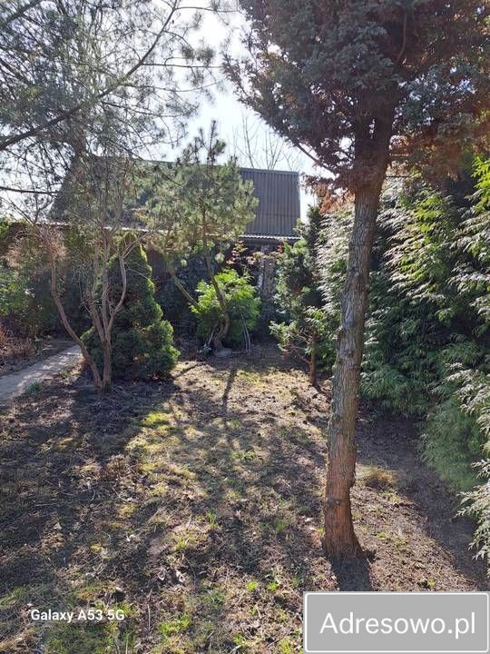 Działka rod Oświęcim. Zdjęcie 4