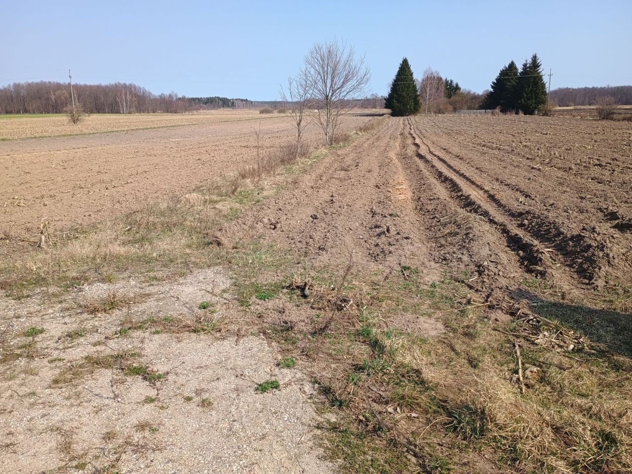 Działka rolna Nowa Wieś Ełcka. Zdjęcie 2