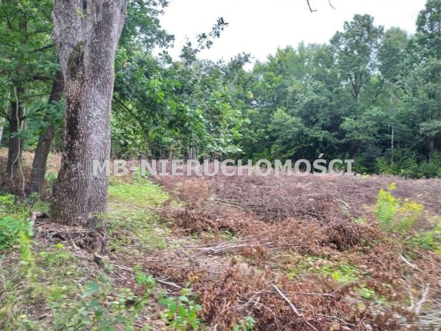 Działka siedliskowa Mątki. Zdjęcie 2