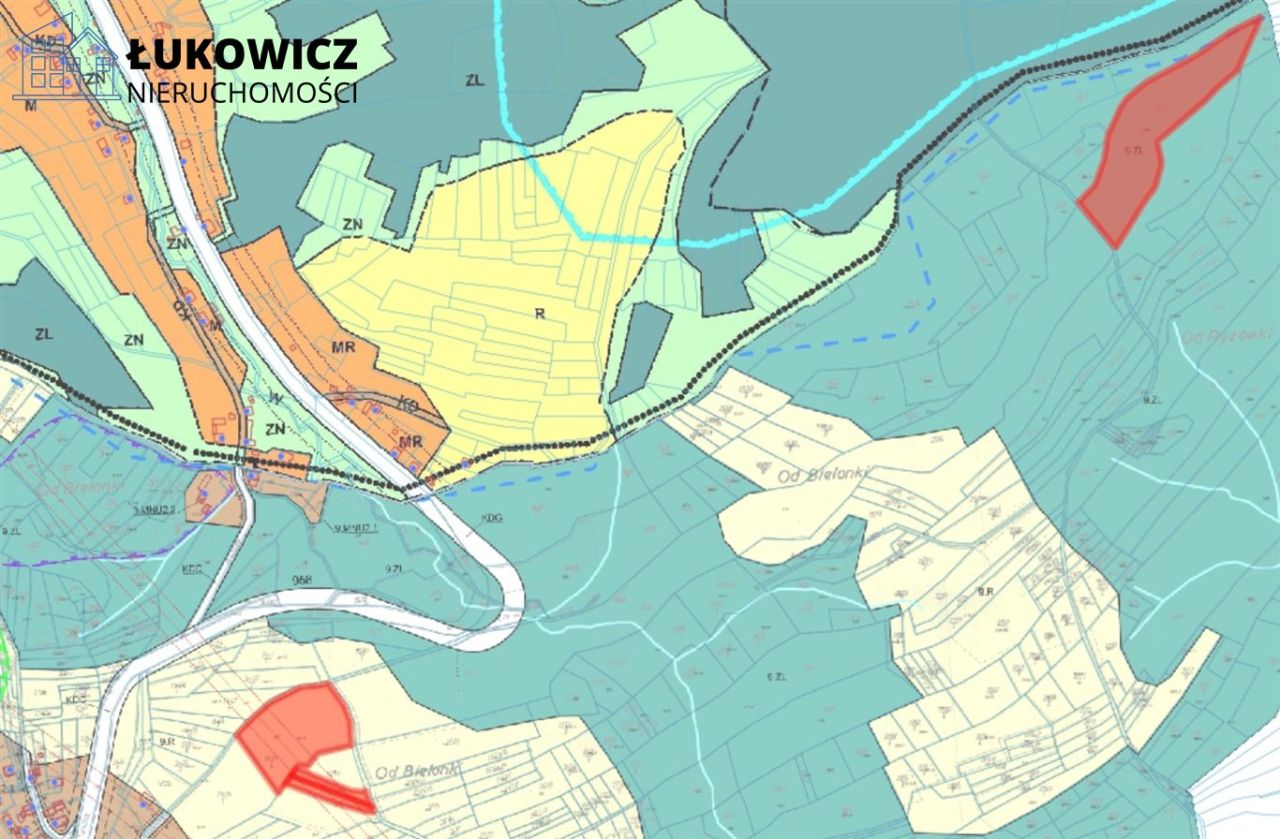 Działka leśna Pieniążkowice. Zdjęcie 9