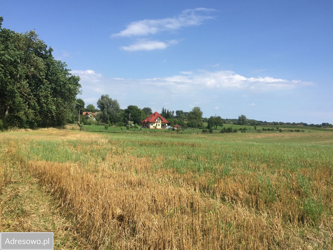 Działka budowlana Stegny. Zdjęcie 7