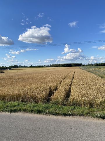 Działka rolna Łysomice, ul. Długa. Zdjęcie 1