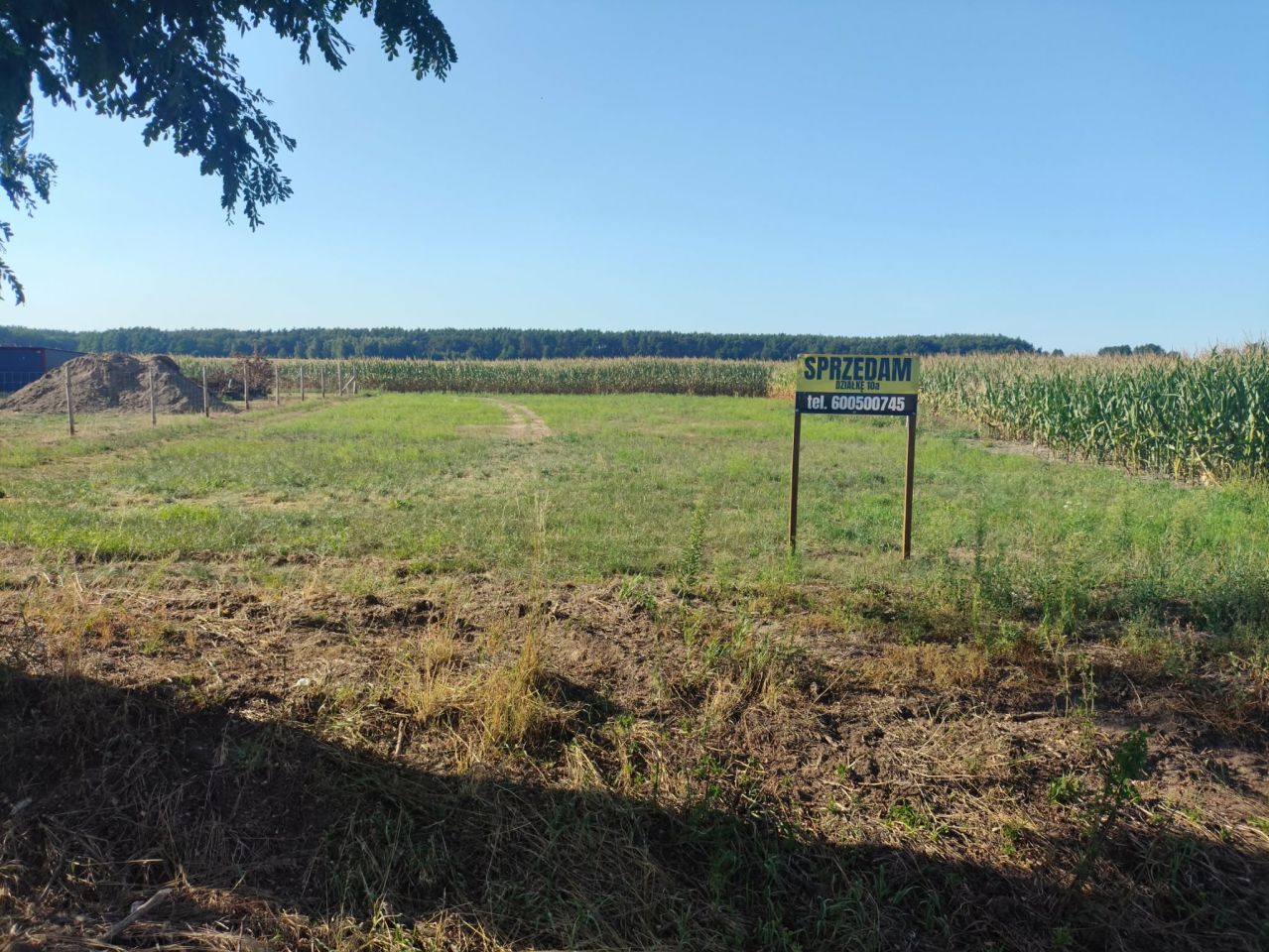Działka budowlana Miłocice, ul. Główna. Zdjęcie 2