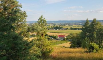 Działka rolno-budowlana Sieradowice-Parcele
