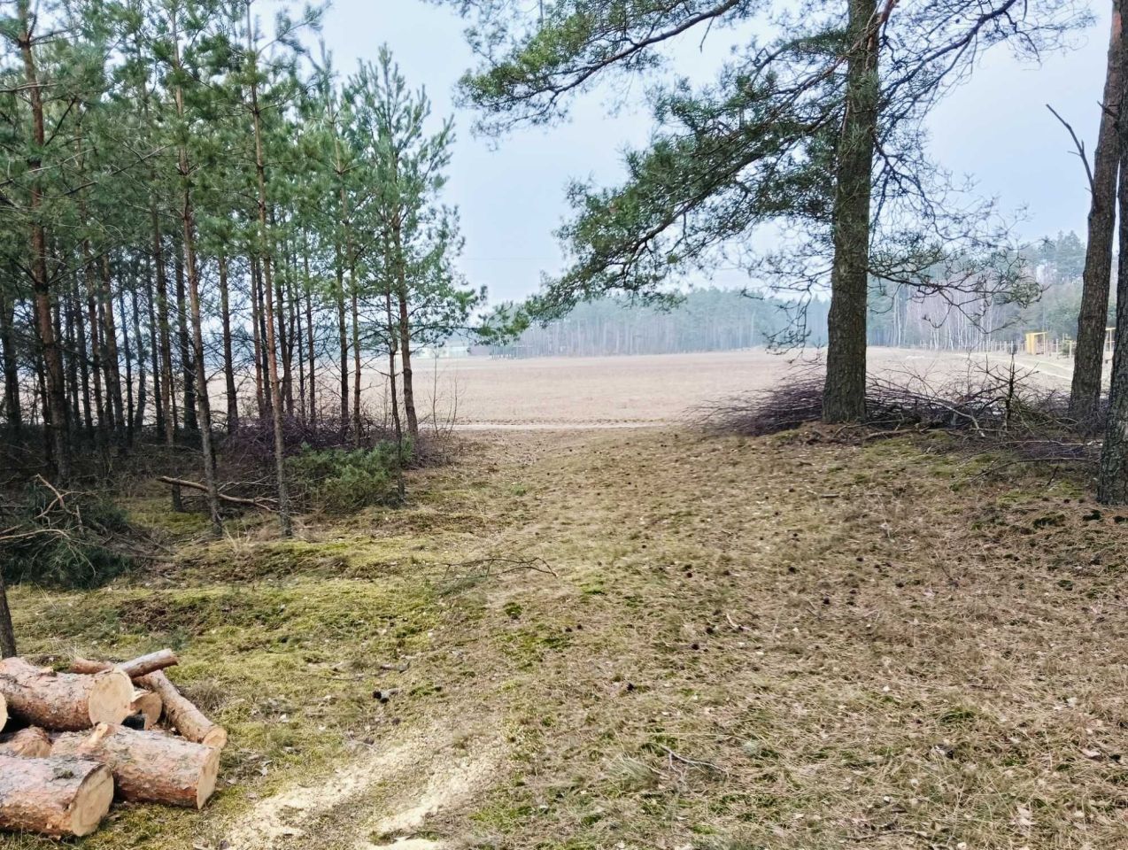 Działka inna Huta. Zdjęcie 7