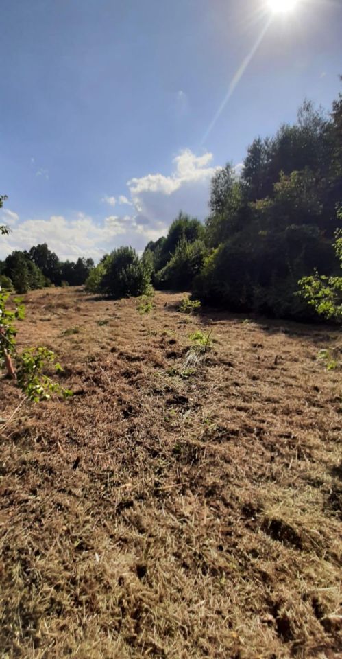 Działka rolna Michałów. Zdjęcie 13