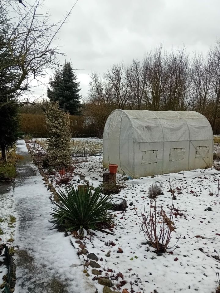 Działka rod Lubsko. Zdjęcie 7