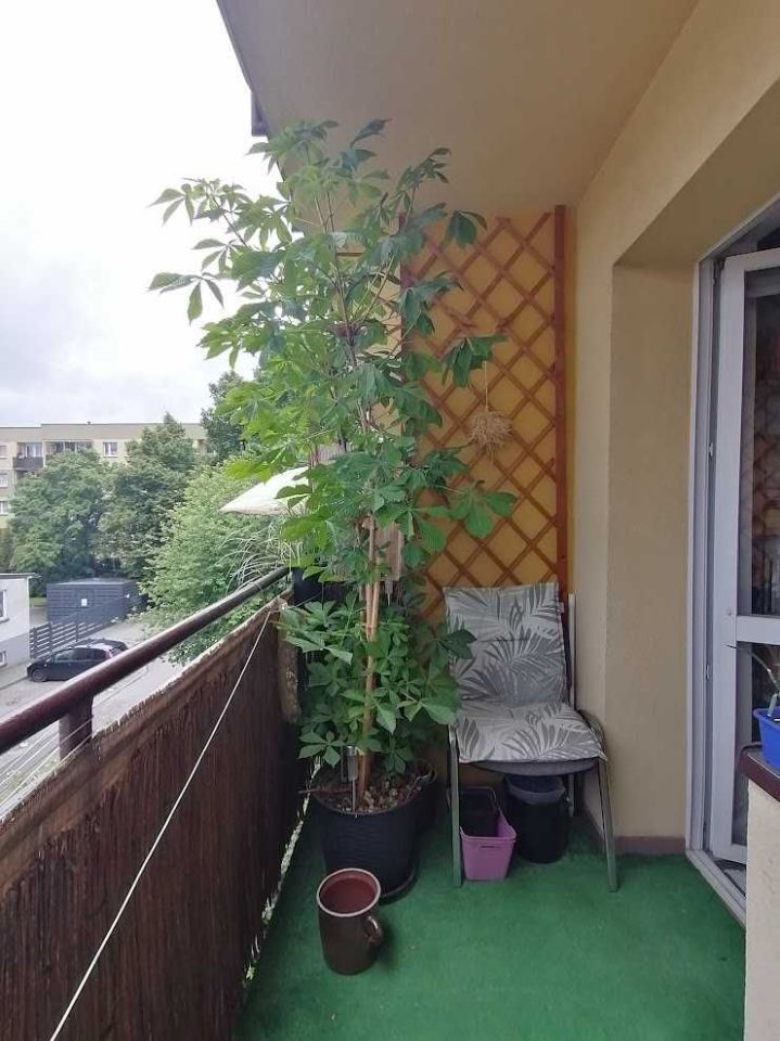 Mieszkanie 2-pokojowe Pszczyna, ul. L. Zamenhofa. Zdjęcie 5