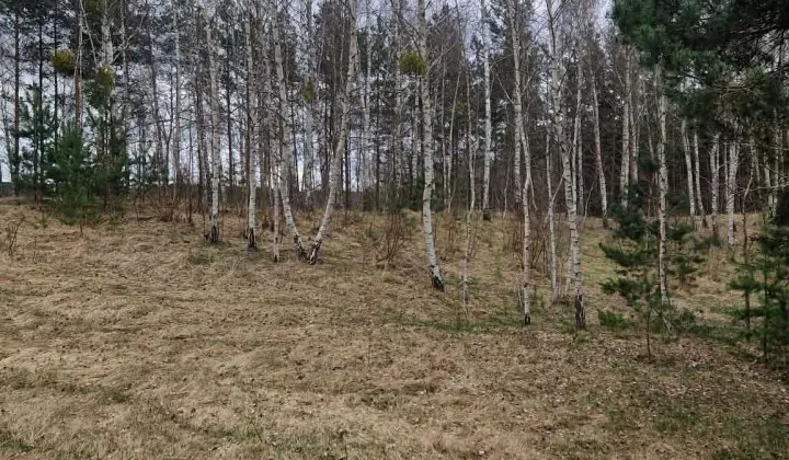 Działka budowlana Wielki Głęboczek