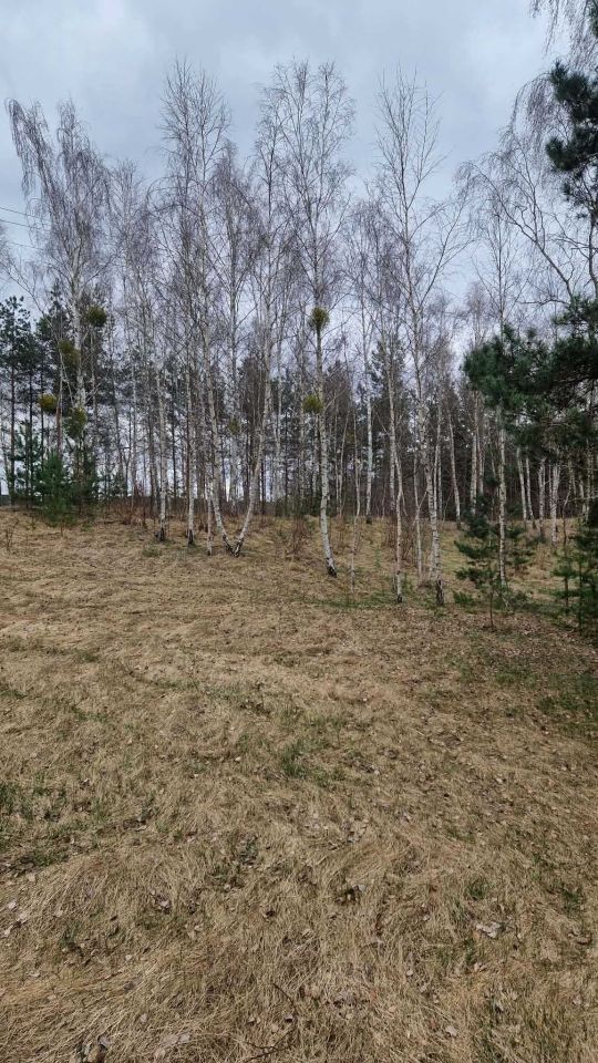 Działka budowlana Wielki Głęboczek. Zdjęcie 1