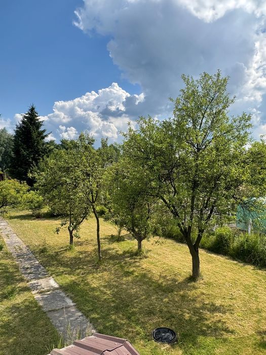 Działka rod Gliwice Sośnica, ul. Władysława Sikorskiego. Zdjęcie 5