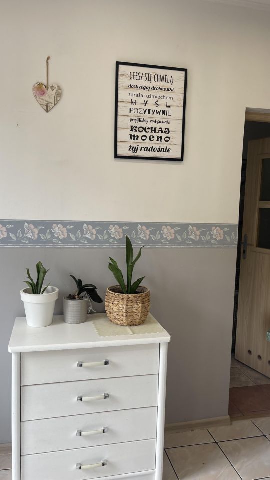 dom wolnostojący, 8 pokoi Jędrzychowice. Zdjęcie 18