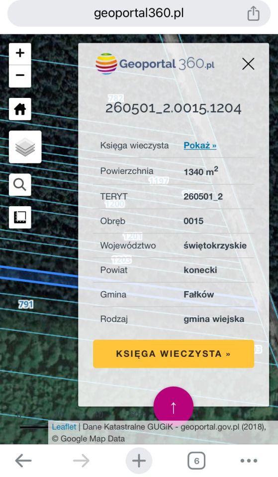 Działka leśna Zbójno. Zdjęcie 12