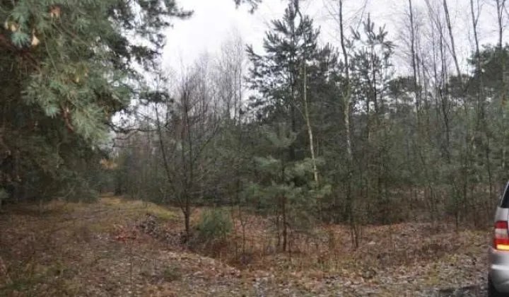 Działka rekreacyjna Wola Buczkowska