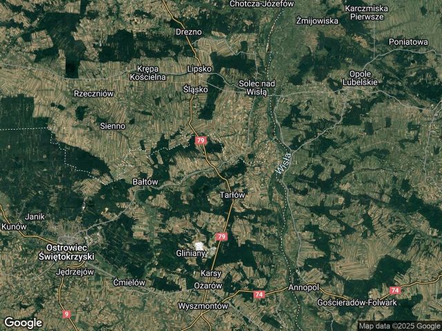 Działka leśna Czekarzewice Pierwsze. Zdjęcie 1