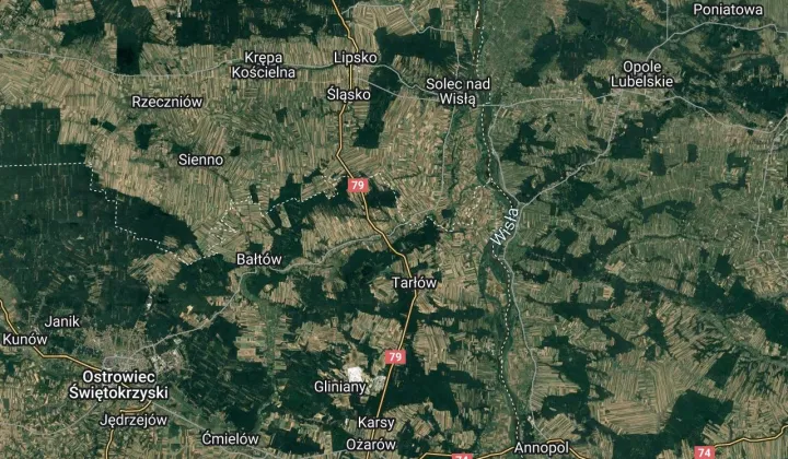 Działka leśna Czekarzewice Pierwsze