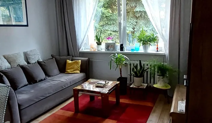 Mieszkanie 3-pokojowe Wałbrzych Piaskowa Góra, ul. Długa