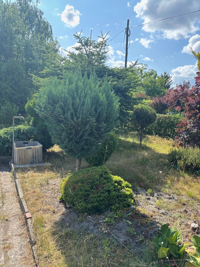 Działka rod Łódź Widzew, ul. Przędzalniana. Zdjęcie 4