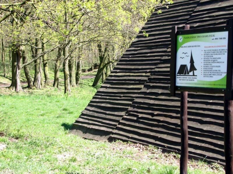 Działka rolna Żydowo. Zdjęcie 3