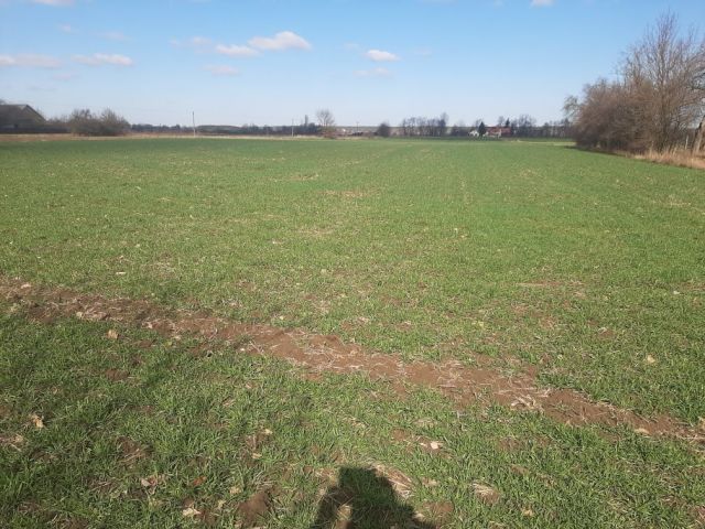 Działka rolno-budowlana Rejterówka. Zdjęcie 1