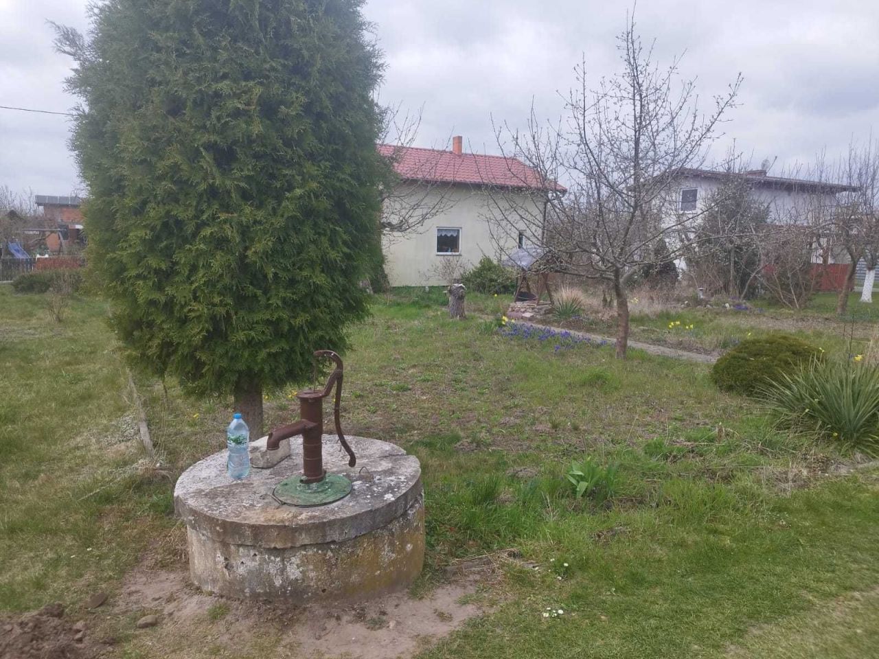 Działka rod Wronki. Zdjęcie 4