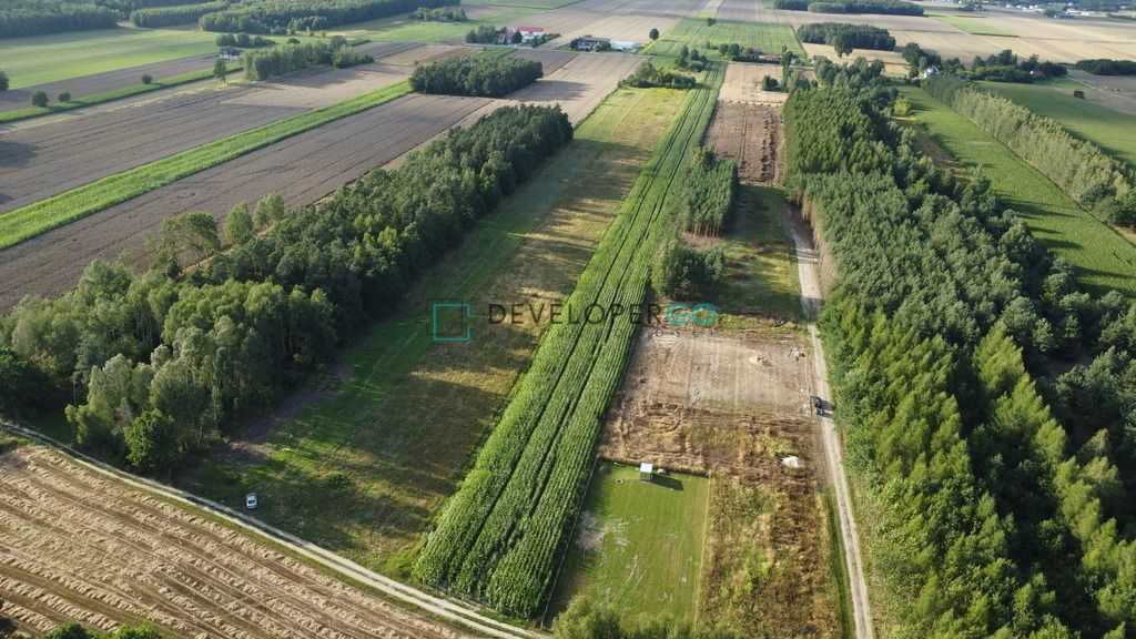 Działka inwestycyjna Dąbrówka-Wyłazy. Zdjęcie 3